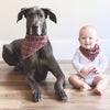 Baby boy and a dog wearing matching red black plaid bandanas