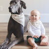 Baby boy and a dog wearing gold stars matching bandanas