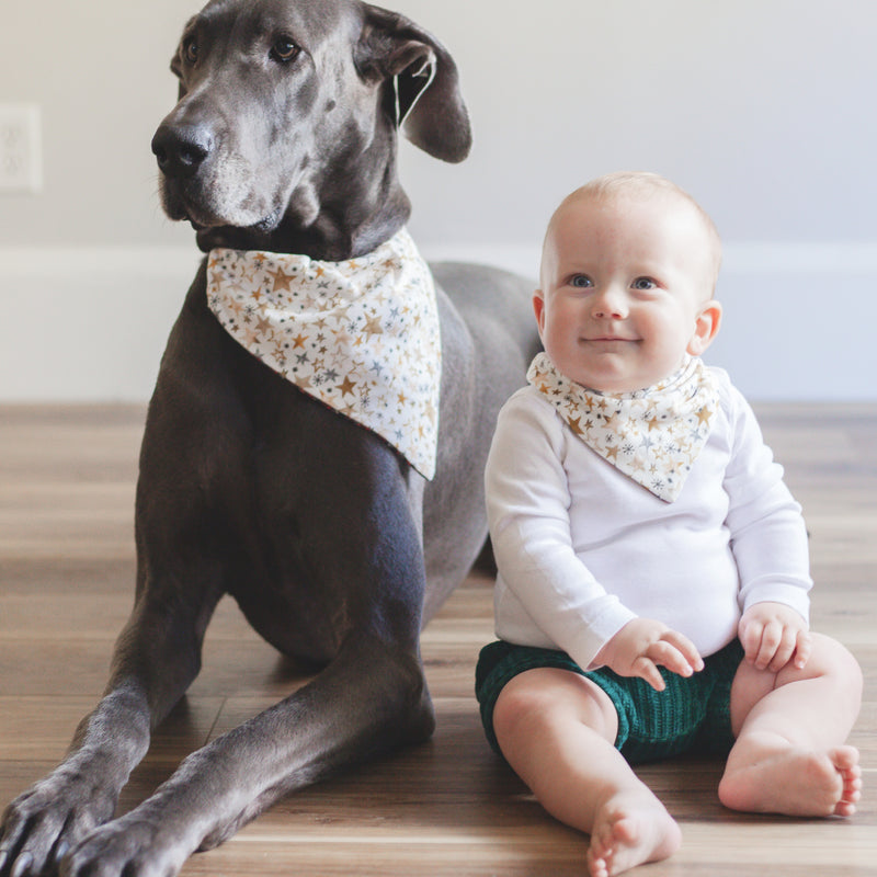 Gold stars pet bandana