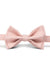 Tan Leather Suspenders & Blush Bow Tie