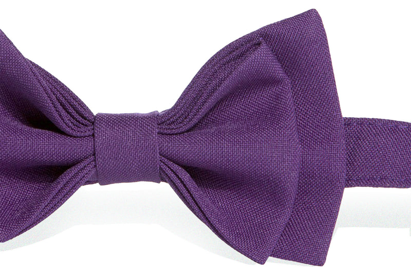 Eggplant Purple Suspenders & Dark Purple Bow Tie