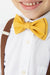 Boy's Marigold Bow Tie