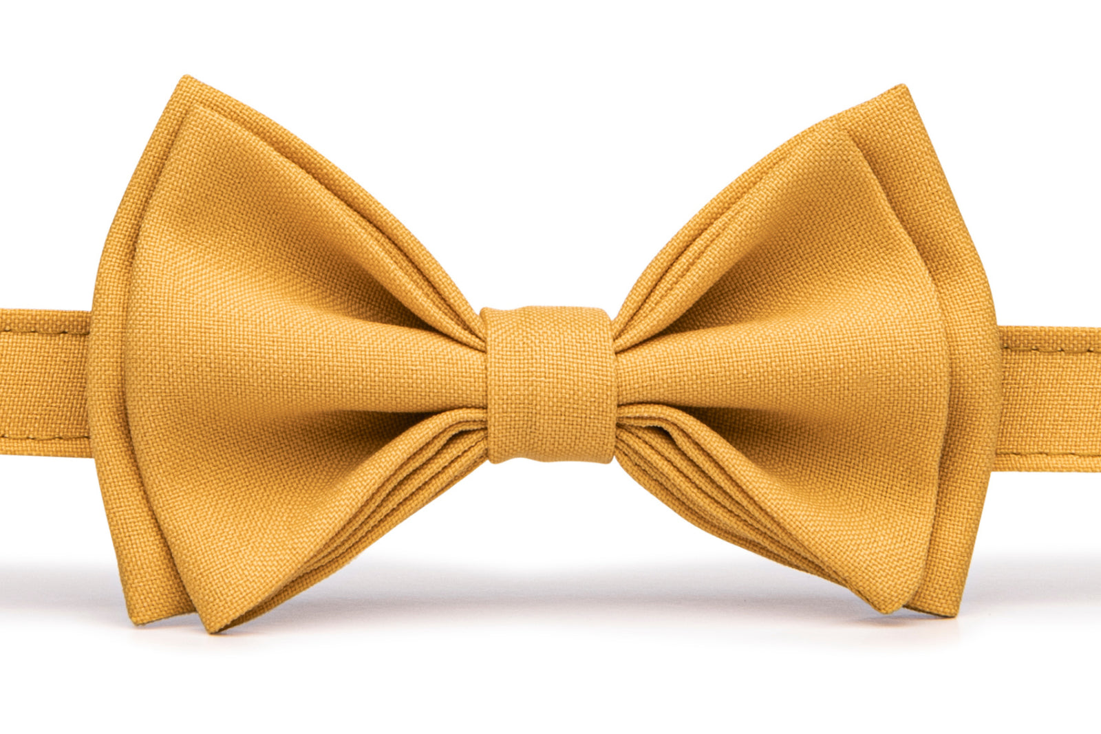 Light Grey Suspenders & Marigold Bow Tie