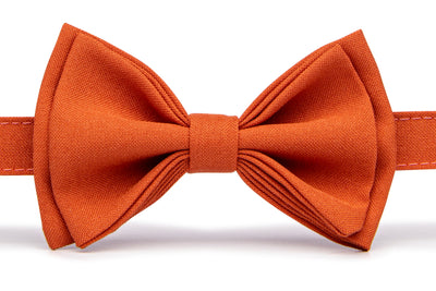 Burnt Orange Bow Tie