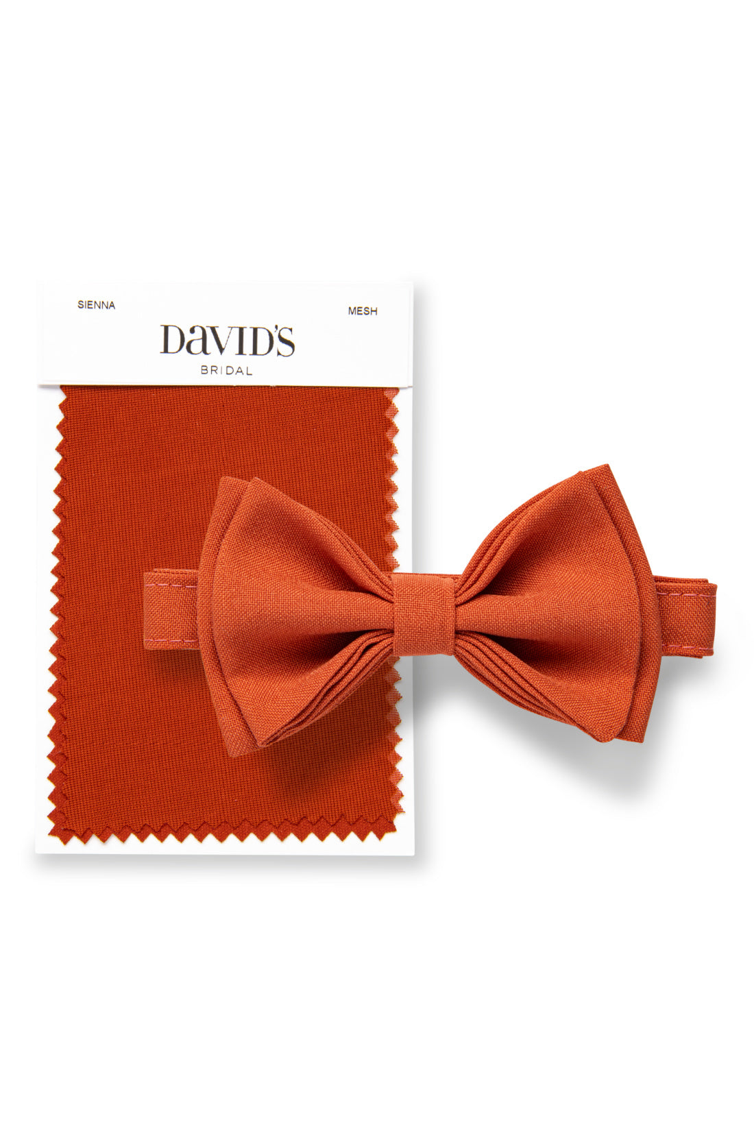 Burnt Orange Bow Tie &amp; David&#39;s Bridal Swatch